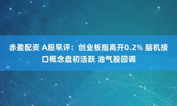 赤盈配资 A股早评：创业板指高开0.2% 脑机接口概念盘初活跃 油气股回调