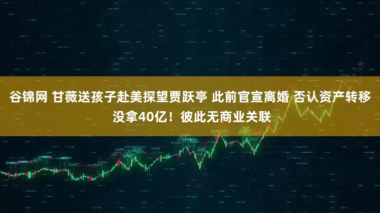 谷锦网 甘薇送孩子赴美探望贾跃亭 此前官宣离婚 否认资产转移 没拿40亿！彼此无商业关联