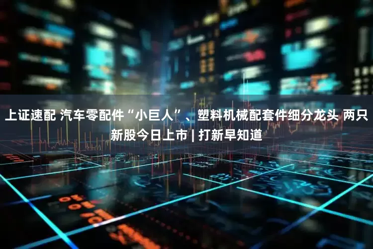 上证速配 汽车零配件“小巨人”、塑料机械配套件细分龙头 两只新股今日上市 | 打新早知道