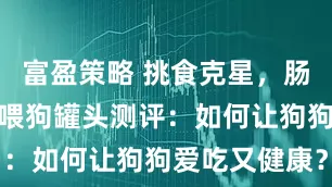富盈策略 挑食克星，肠胃挚友！希喂狗罐头测评：如何让狗狗爱吃又健康？