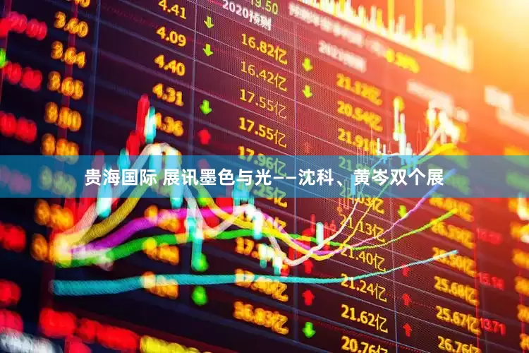 贵海国际 展讯墨色与光——沈科、黄岑双个展