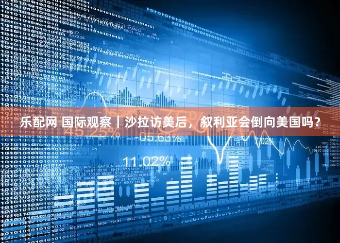 乐配网 国际观察｜沙拉访美后，叙利亚会倒向美国吗？