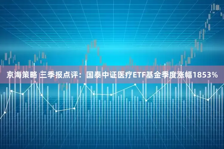 京海策略 三季报点评：国泰中证医疗ETF基金季度涨幅1853%